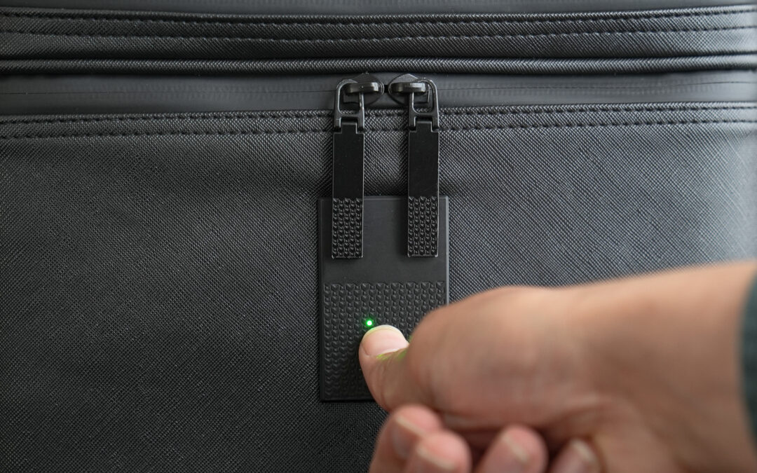 How to Store Cannabis Without the Smell (A Stylish, Discreet Solution)